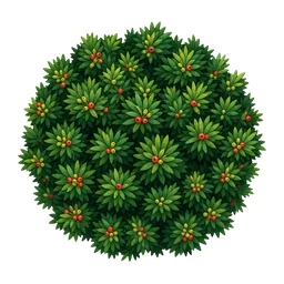 Eibe