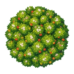 Klassischer Apfelbaum