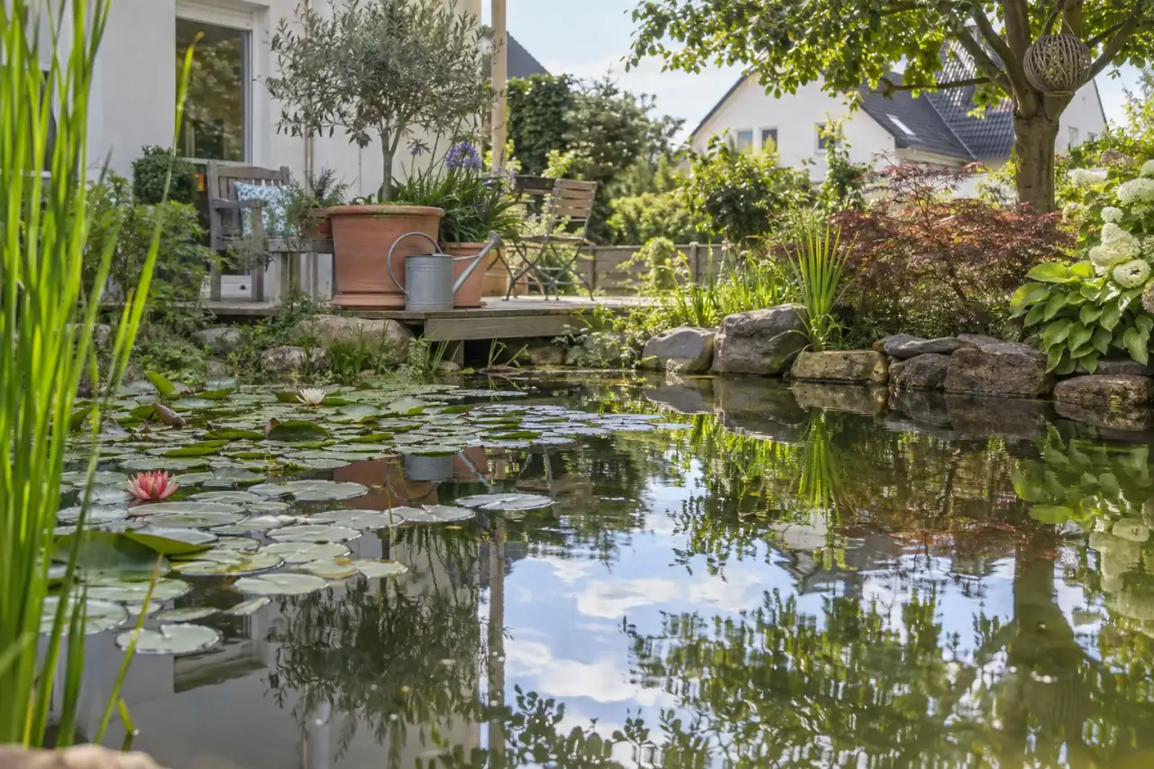 Ruhige Wasserfläche als Mittelpunkt eines kleinen Teichs.
