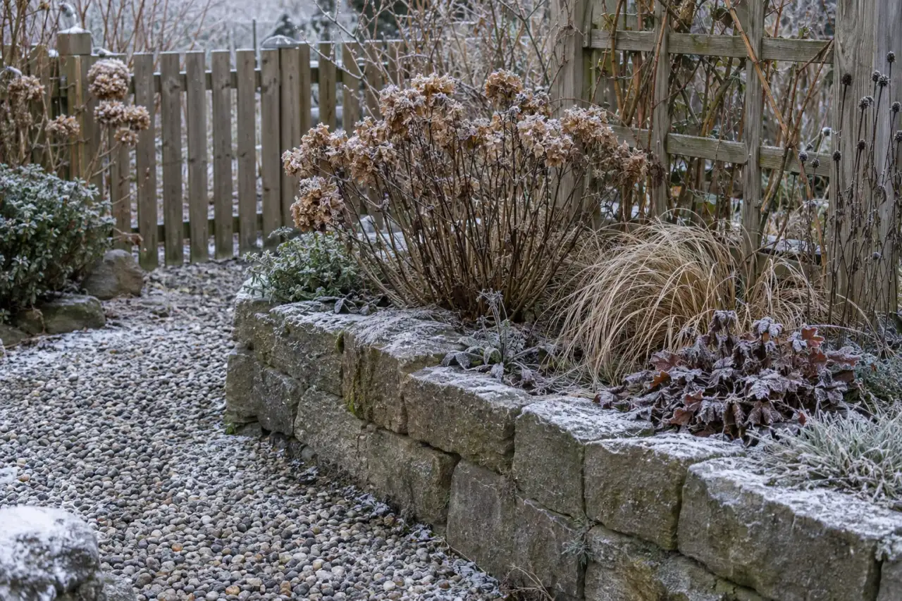Klare Wege, Einfassungen, Zaun und Rankgerüst in einem winterlichen Garten