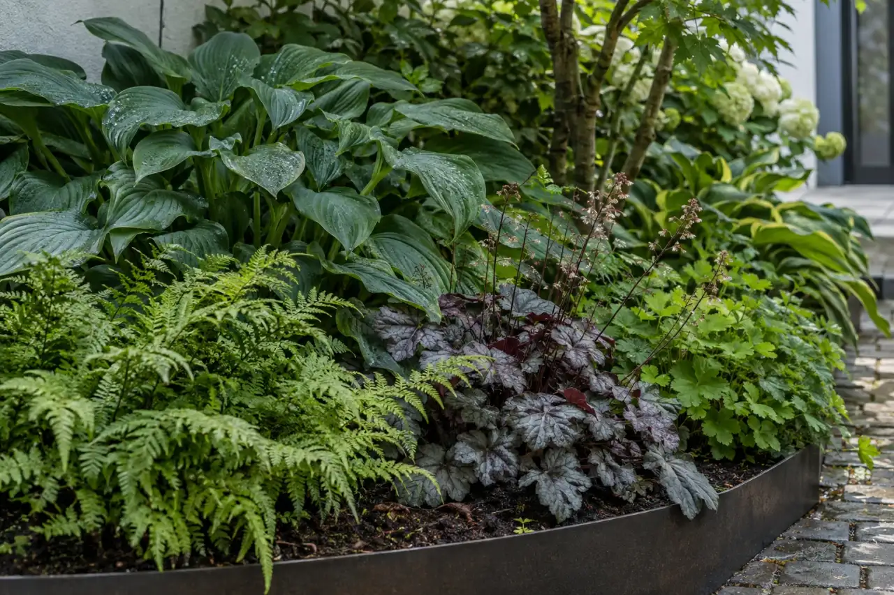 Blattschmuckstauden mit unterschiedlichen Blatttexturen im Halbschatten