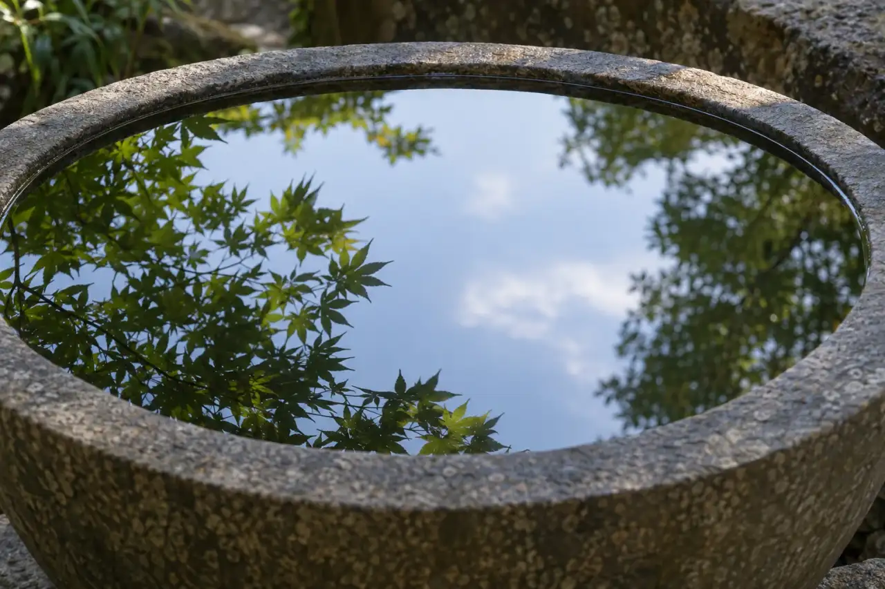 Stille Wasserfläche mit Spiegelung von Laub und hellem Himmel