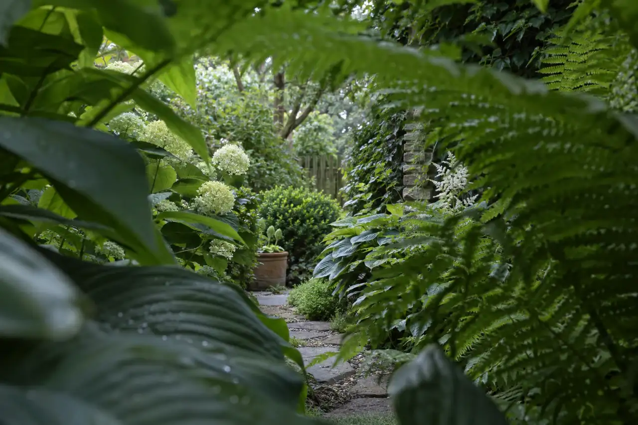 Überlagerte Blattsilhouetten mit einem nur teilweise sichtbaren Gartenübergang.