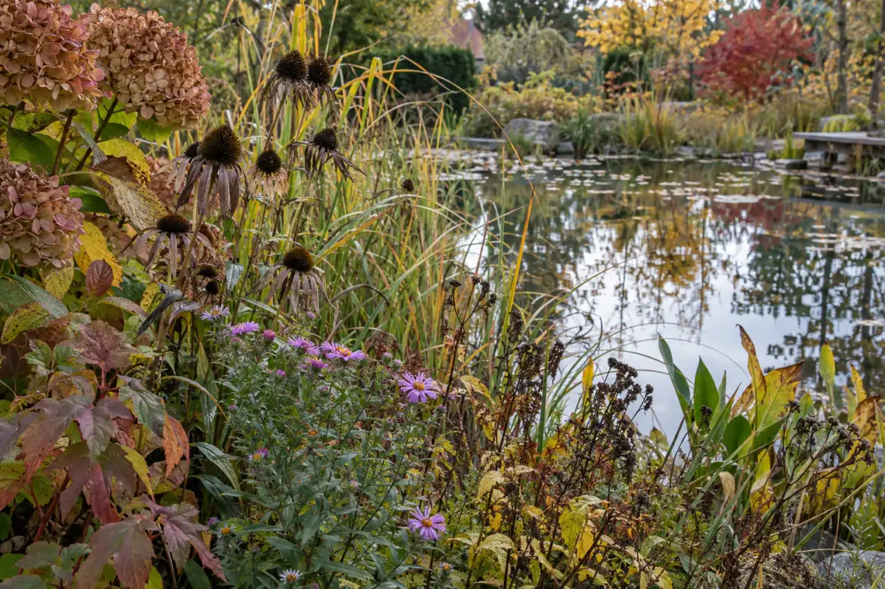 Uferpflanzen mit Blüten, verfärbtem Laub und Samenständen im saisonalen Wechsel