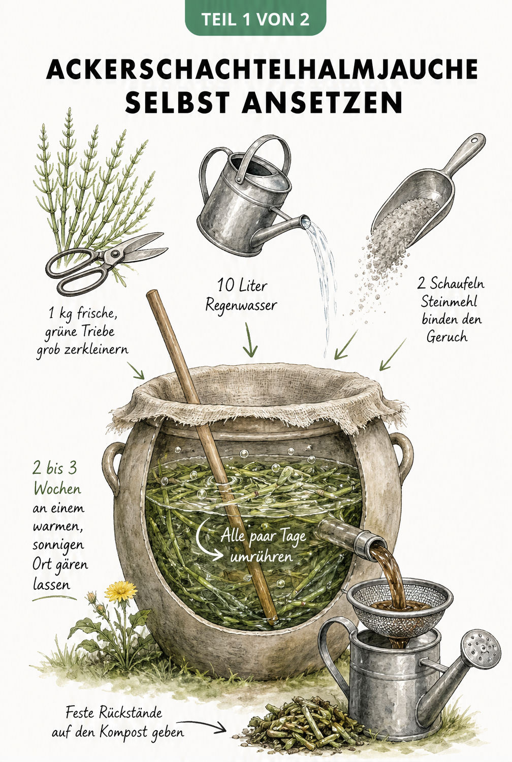 Illustration eines Steingutgefäßes, in dem Ackerschachtelhalm, Regenwasser und Steinmehl zu Jauche angesetzt werden.