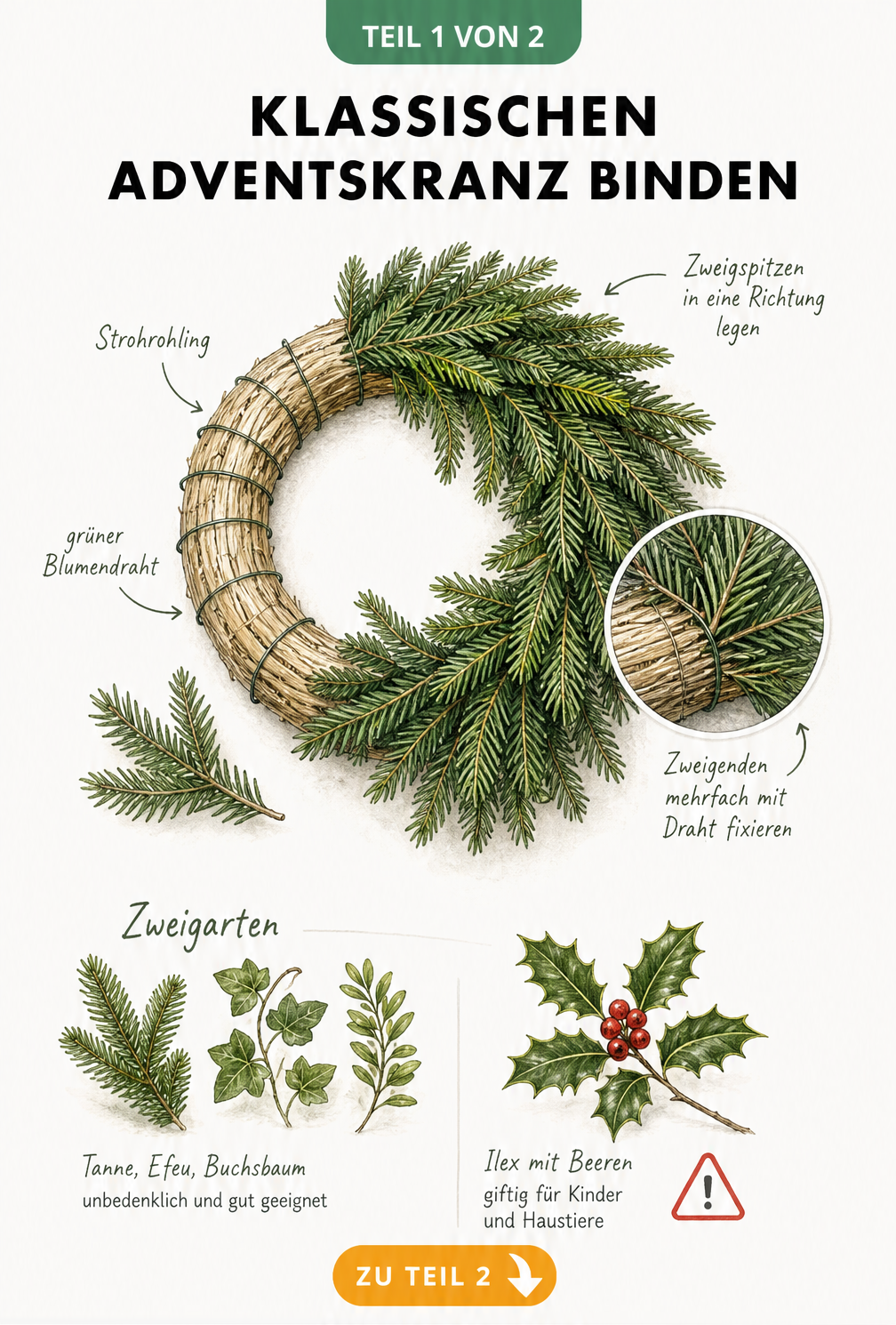Illustration eines halbfertigen Adventskranzes mit Strohrohling, Blumendraht und Tannenzweigen sowie einer Warnung vor giftigem Ilex.