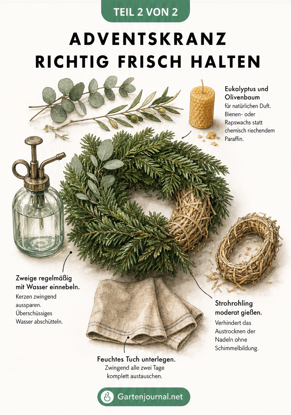 Illustration eines frischen Adventskranzes mit Tipps zur Pflege wie feuchtes Tuch, Sprühflasche und Strohrohling gießen
