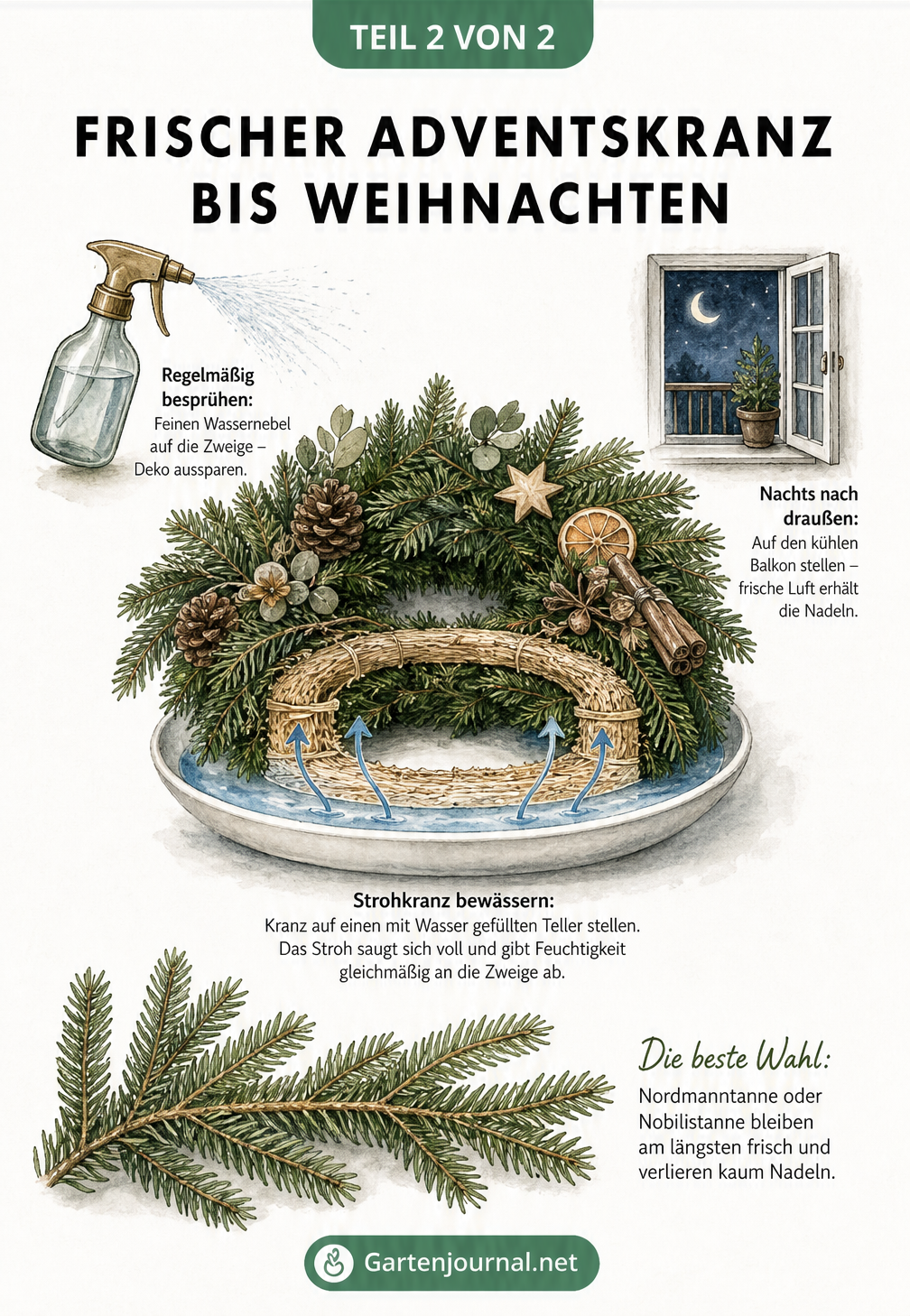Zeichnung eines grünen Adventskranzes auf einem Wasserteller mit Sprühflasche und Hinweis auf kühle Lagerung