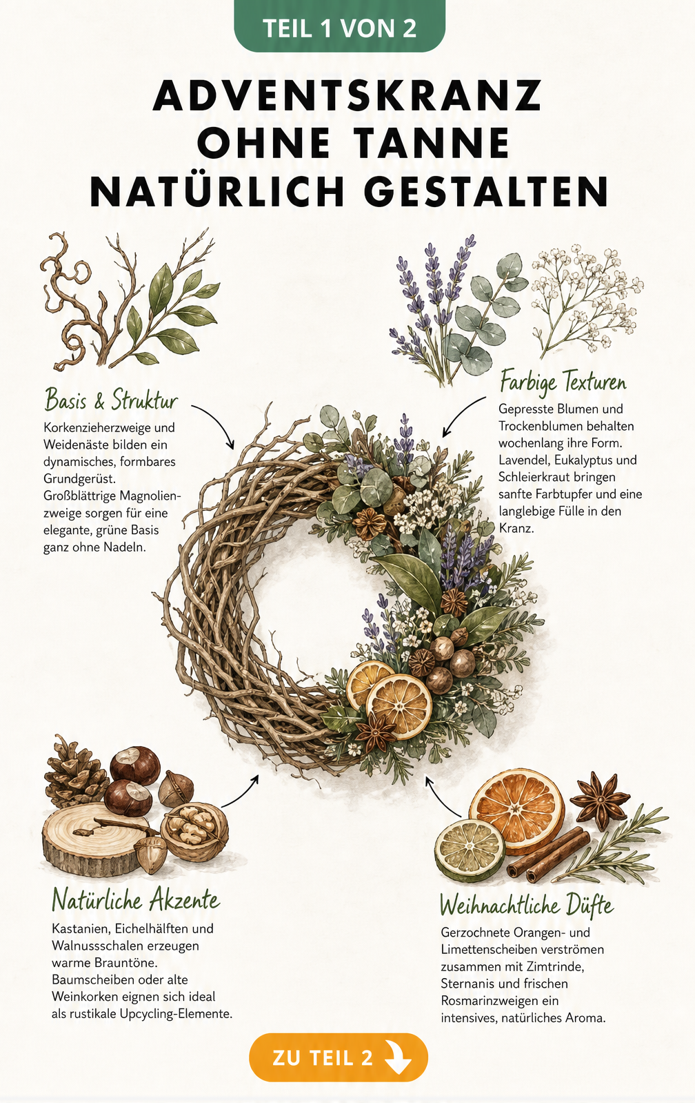 Illustration eines Adventskranzes ohne Tanne mit verschiedenen Naturmaterialien wie Magnolienzweigen, Lavendel und Walnussschalen
