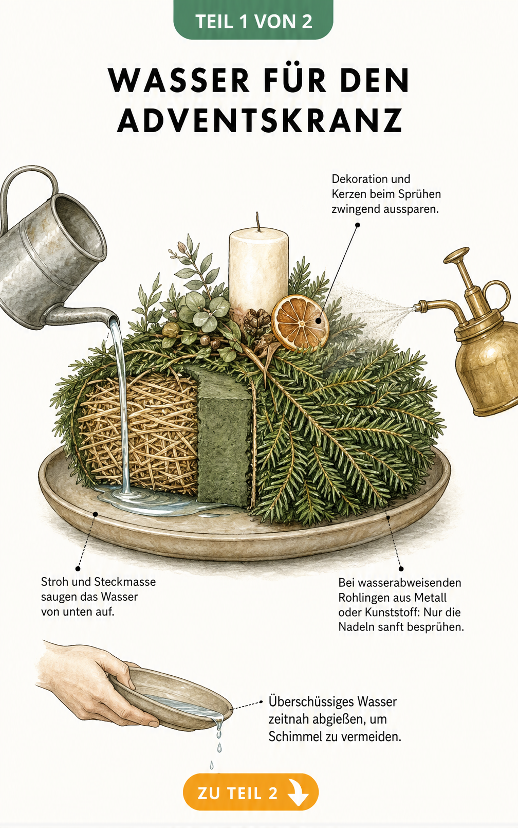 Querschnitt eines Adventskranzes auf einem Teller, der von unten gegossen wird, und Tannenzweige, die mit einer Sprühflasche befeuchtet werden.