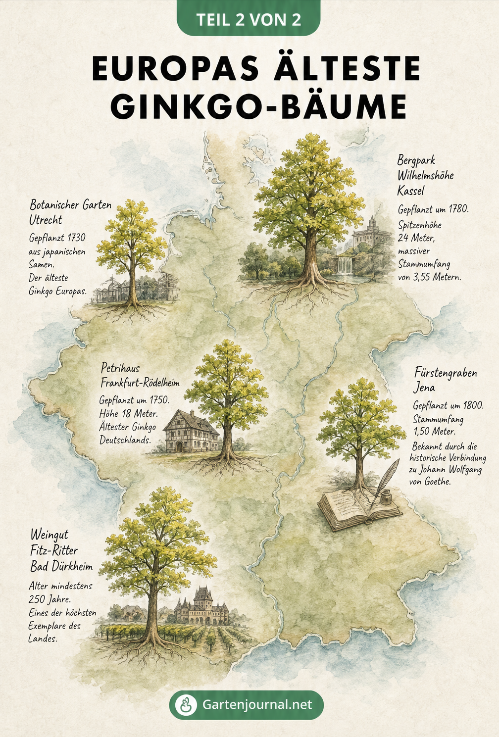 Aquarell-Landkarte von Mitteleuropa mit den Standorten der ältesten Ginkgo-Bäume in Europa