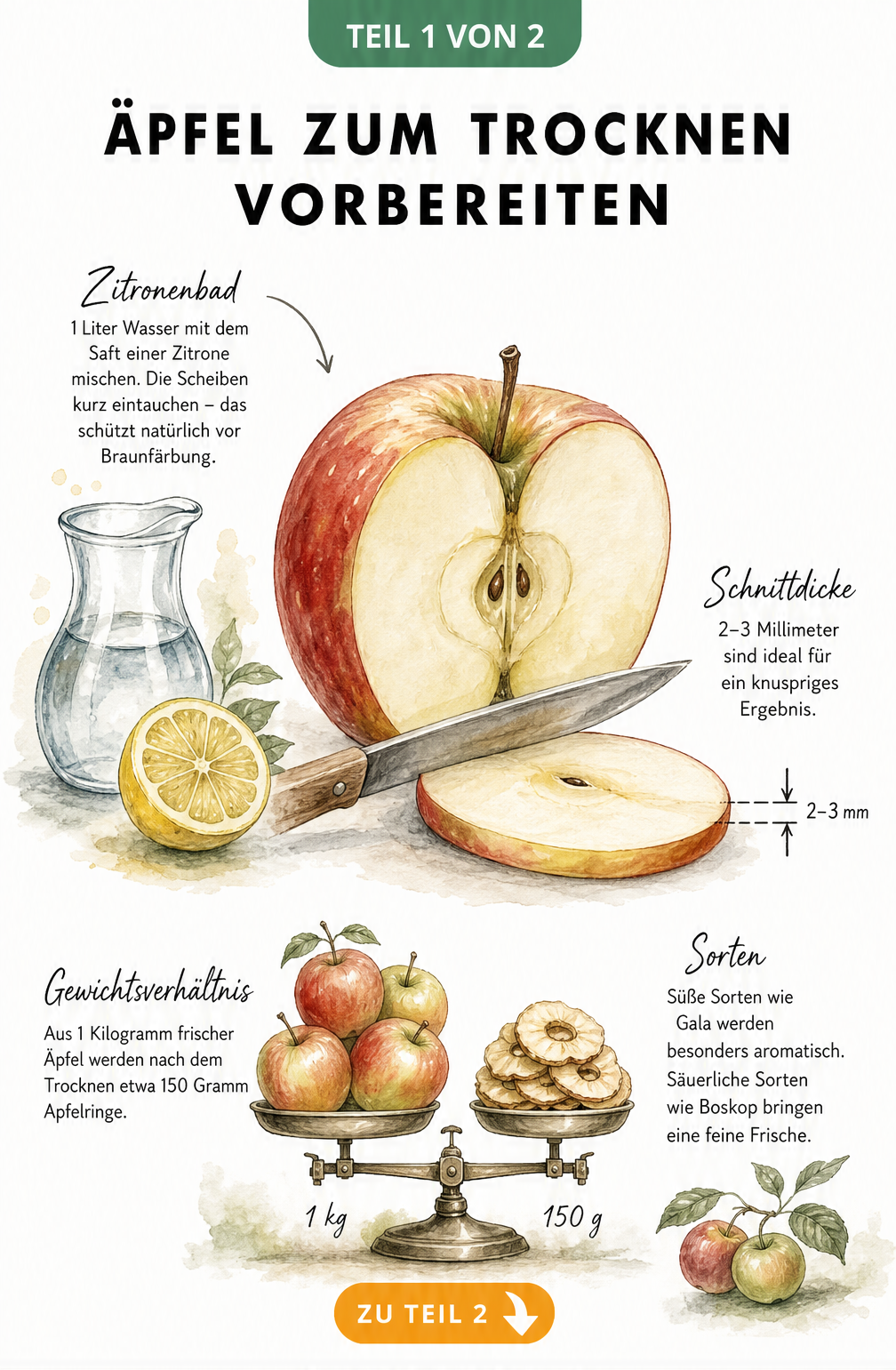 Illustration eines halbierten Apfels mit Zitronenbad, Maßlinie für Schnittdicke und Balkenwaage für das Gewichtsverhältnis