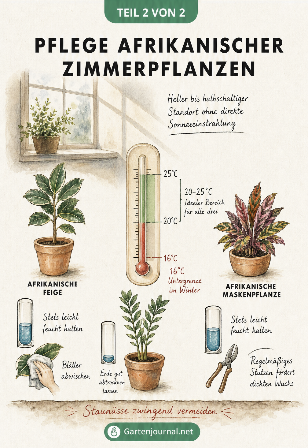 Pflegematrix für afrikanische Zimmerpflanzen mit Thermometer, Wasserstandsanzeigern und Hinweisen zu Temperatur, Gießen und Standort.