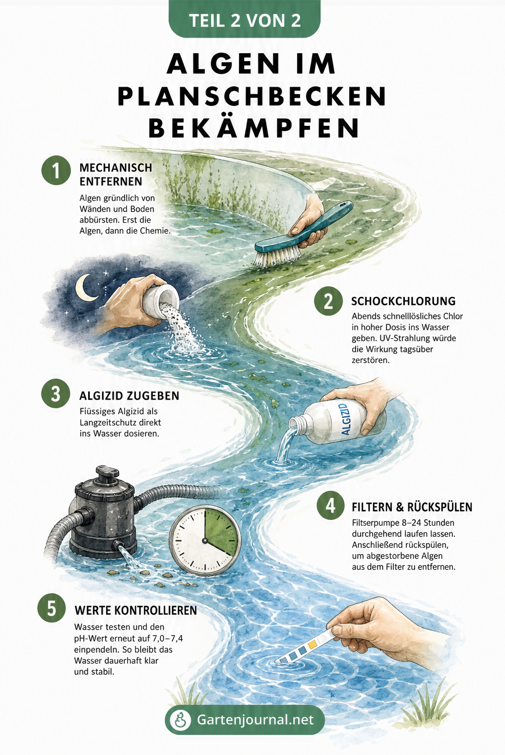 Chronologischer Ablauf zur Bekämpfung von Algen im Planschbecken mit Poolbürste, Schockchlorung, Algizid und Filterpumpe