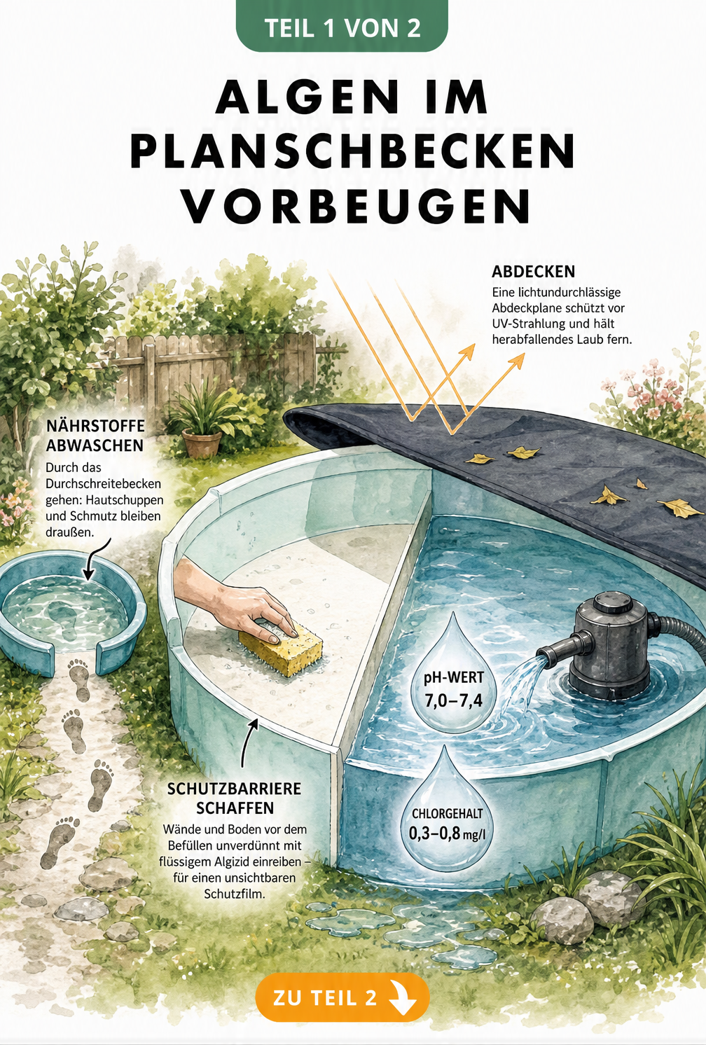 Illustration eines Planschbeckens mit Maßnahmen zur Algenvorbeugung wie Durchschreitebecken, Abdeckplane und Filterpumpe