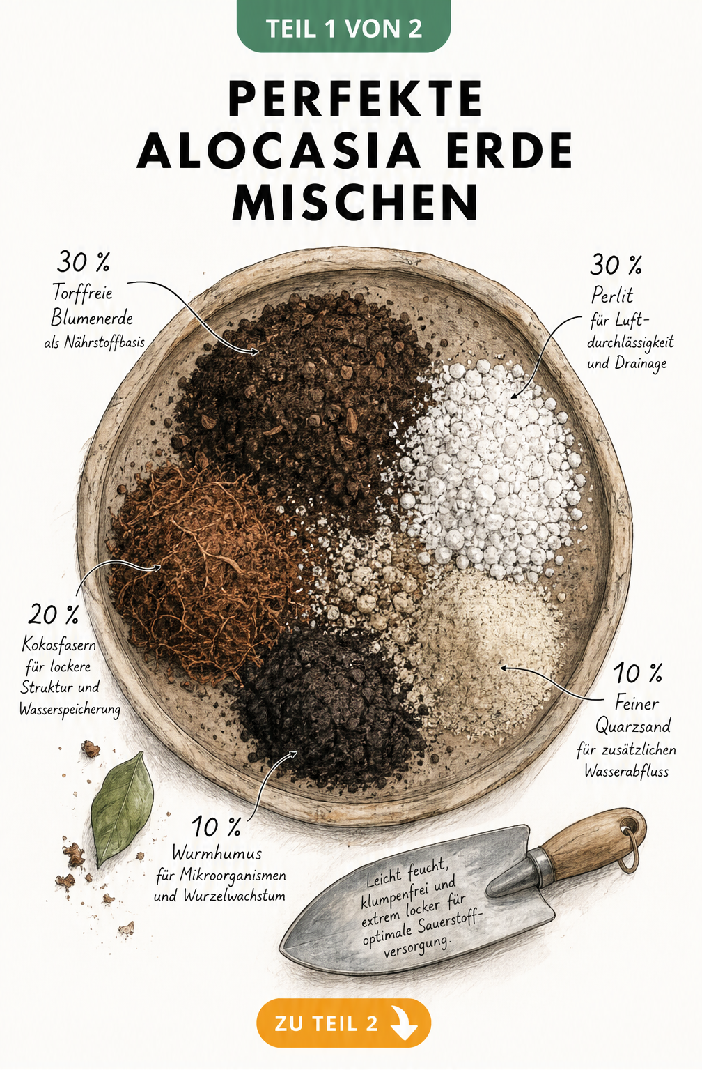 Illustration einer Pflanzschale mit den Zutaten für Alocasia-Erde: Torffreie Blumenerde, Perlit, Kokosfasern, Quarzsand und Wurmhumus.