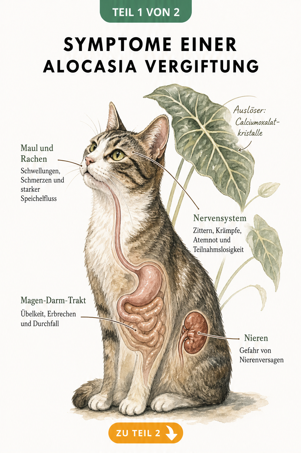 Illustration einer Katze mit Symptomen einer Alocasia-Vergiftung wie Schwellungen, Erbrechen und Zittern