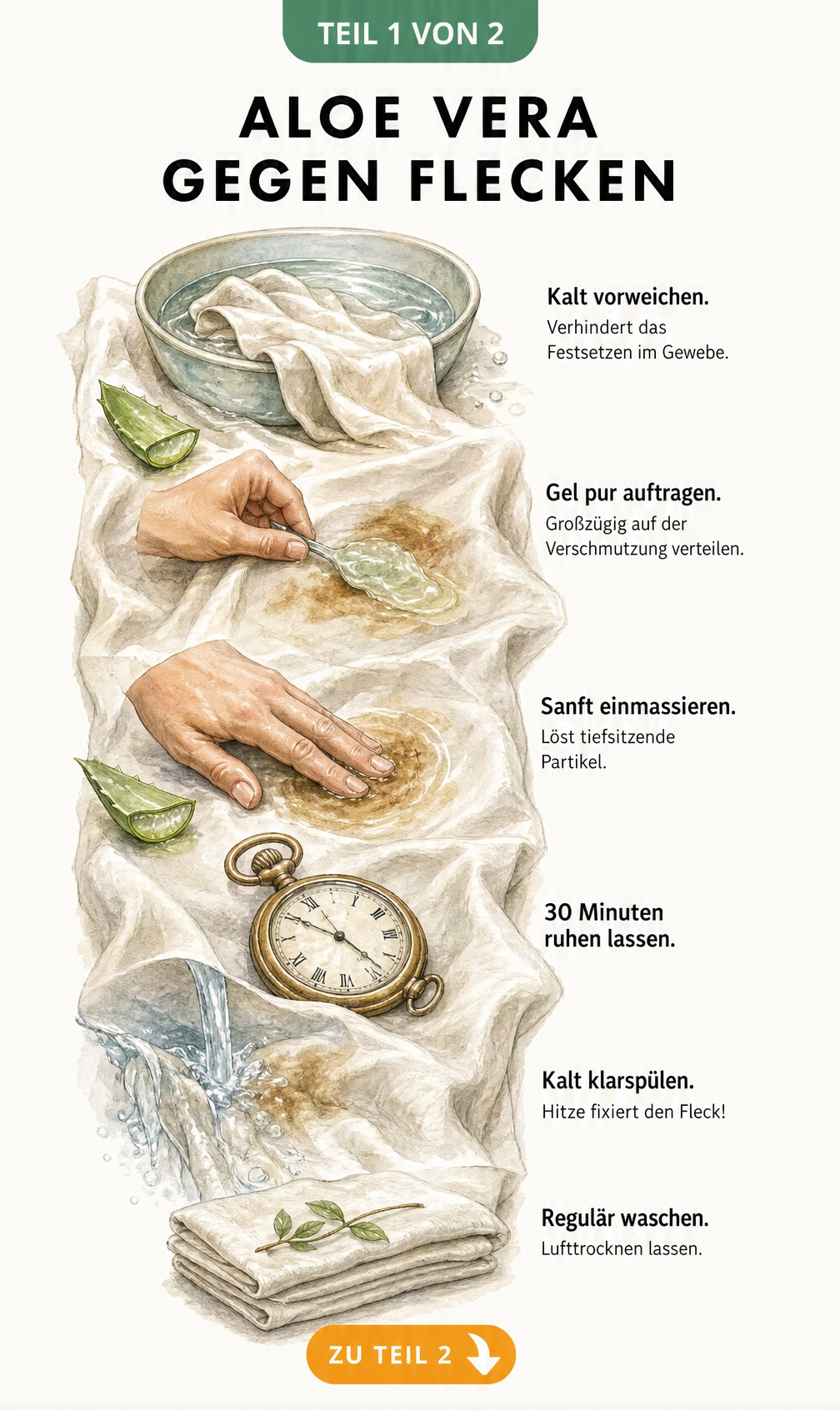 Illustration der Fleckenentfernung mit Aloe Vera auf einem Stoff, von Vorweichen bis zum Waschen