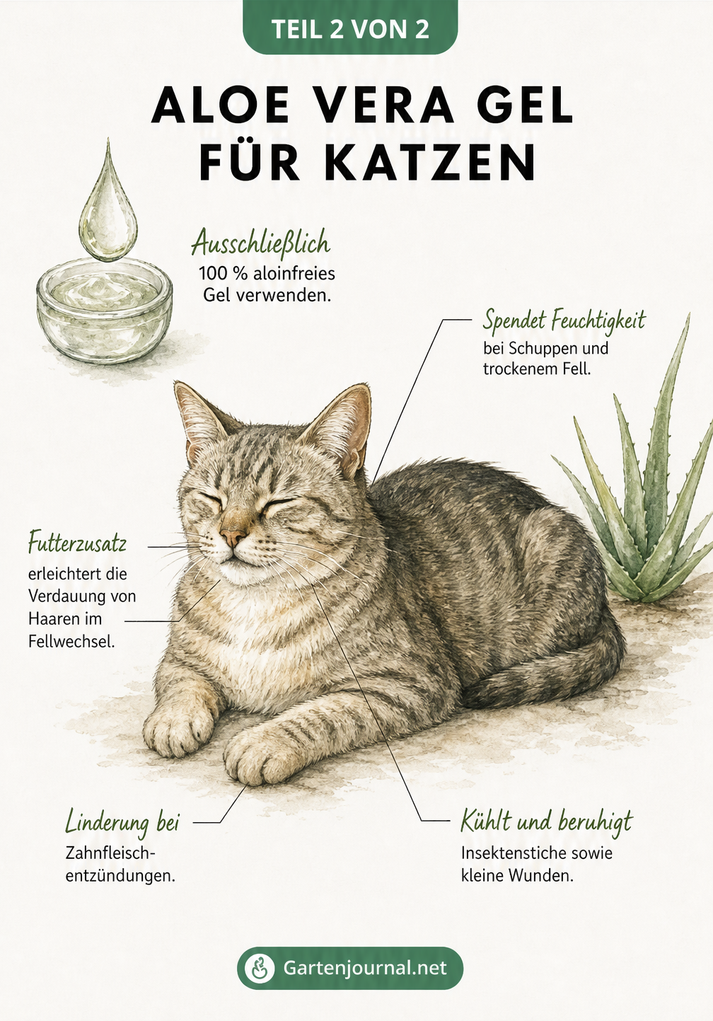 Illustration einer Katze, die die Anwendungsmöglichkeiten von aloinfreiem Aloe-Vera-Gel für Fell, Pfoten und Verdauung zeigt.