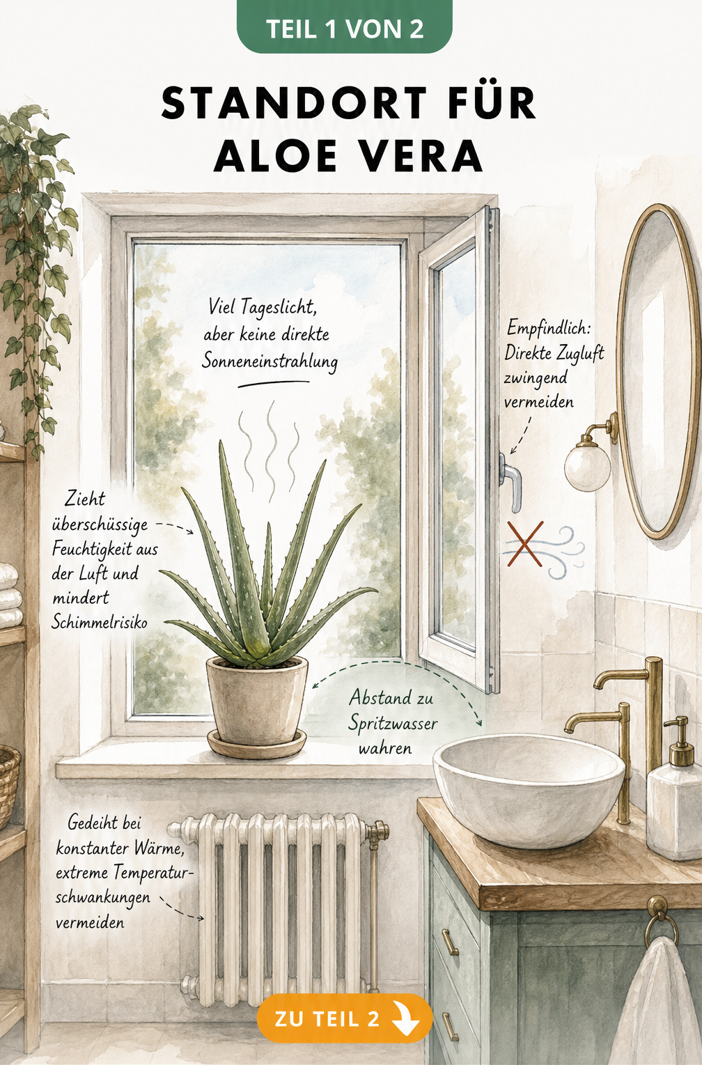 Handgezeichnete Illustration eines Badezimmers mit einer Aloe Vera auf der Fensterbank und Hinweisen zu Lichtbedarf, Luftfeuchtigkeit und Temperatur.