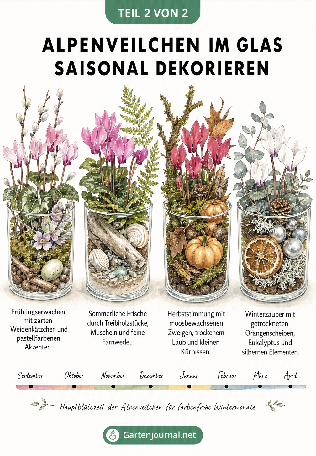 Vier dekorierte Gläser mit Alpenveilchen, passend zu Frühling, Sommer, Herbst und Winter arrangiert.