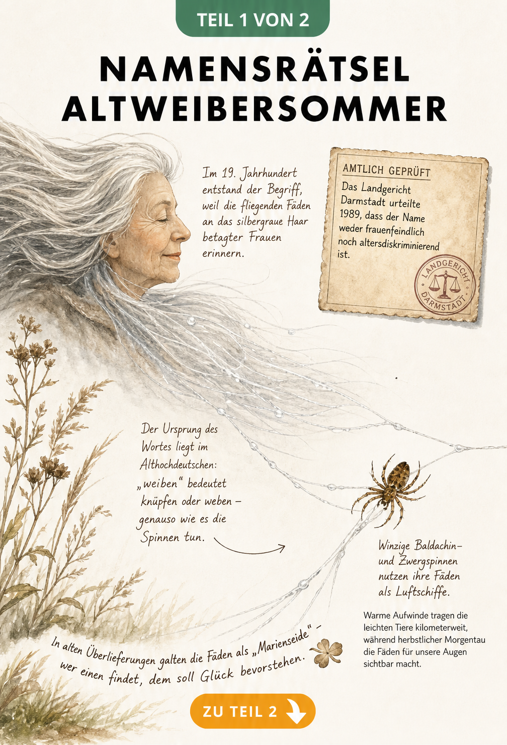 Illustration von silbergrauem Haar, das in Spinnfäden übergeht, mit einer kleinen Spinne an einem Faden