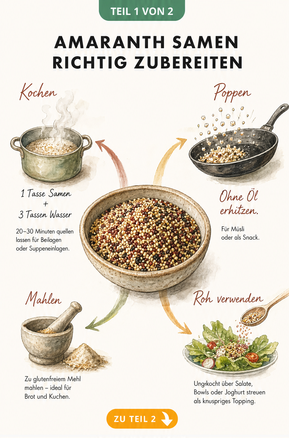 Illustration einer rustikalen Keramikschale mit Amaranth-Samen und vier Zubereitungsarten: Kochen, Poppen, Mahlen und als rohes Topping.