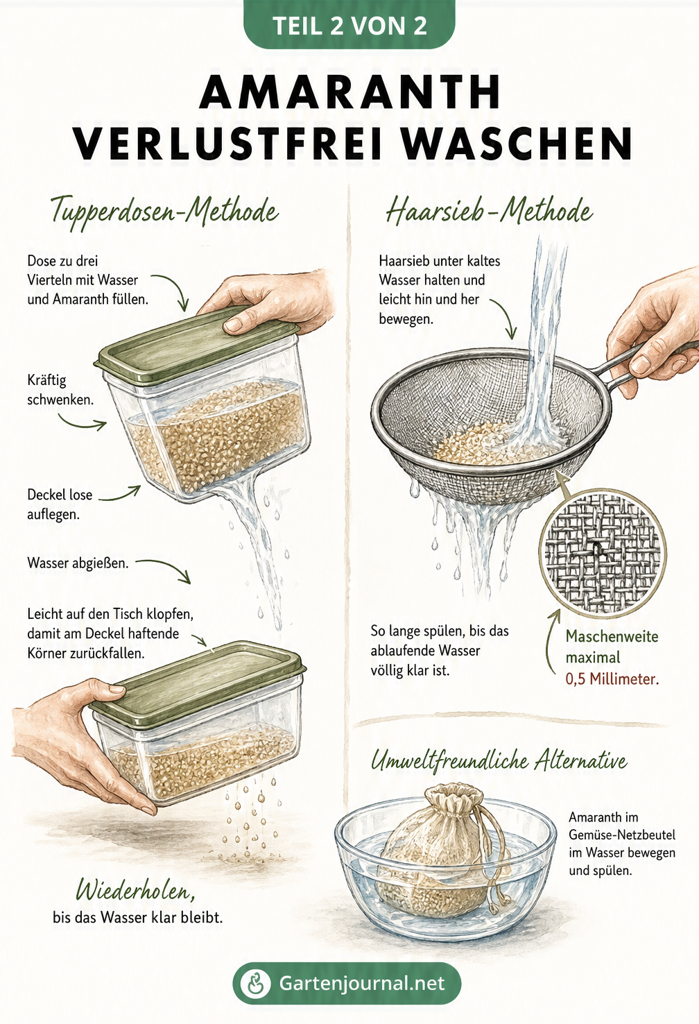 Illustration der Tupperdosen-Methode und der Haarsieb-Methode zum verlustfreien Waschen von Amaranth