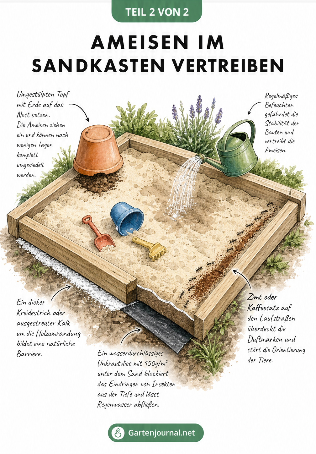 Illustration eines Sandkastens mit natürlichen Methoden zur Ameisenbekämpfung wie Blumentopf, Zimt, Kreide und Unkrautvlies