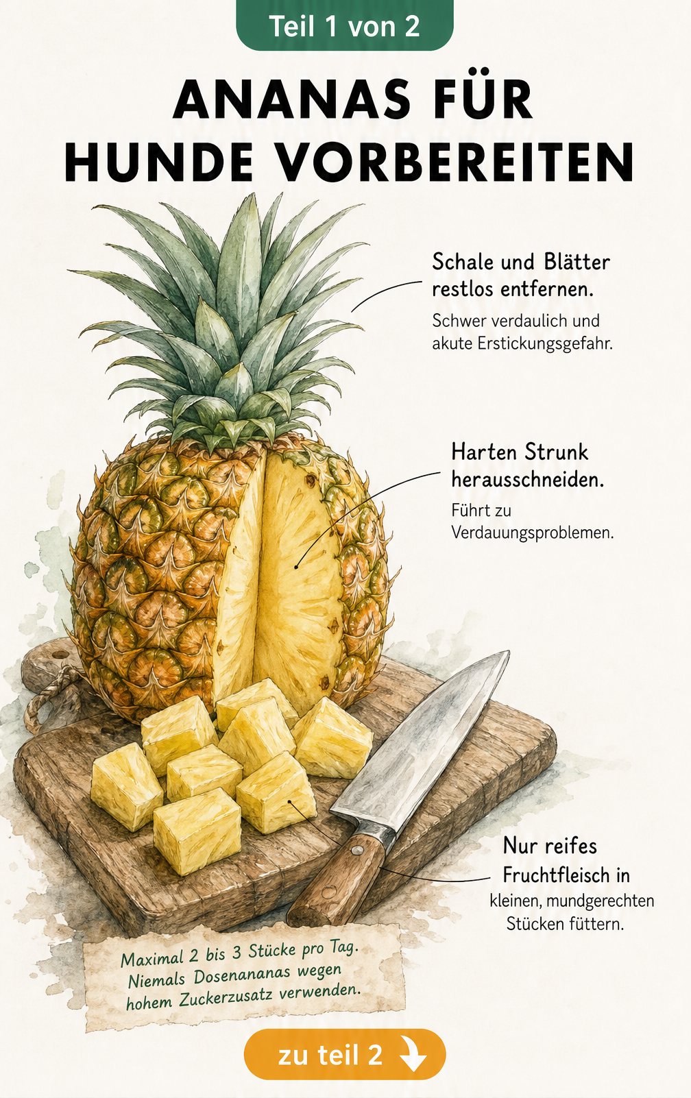 Illustration einer aufgeschnittenen Ananas auf einem Holzbrett mit Hinweisen zur Vorbereitung für Hunde