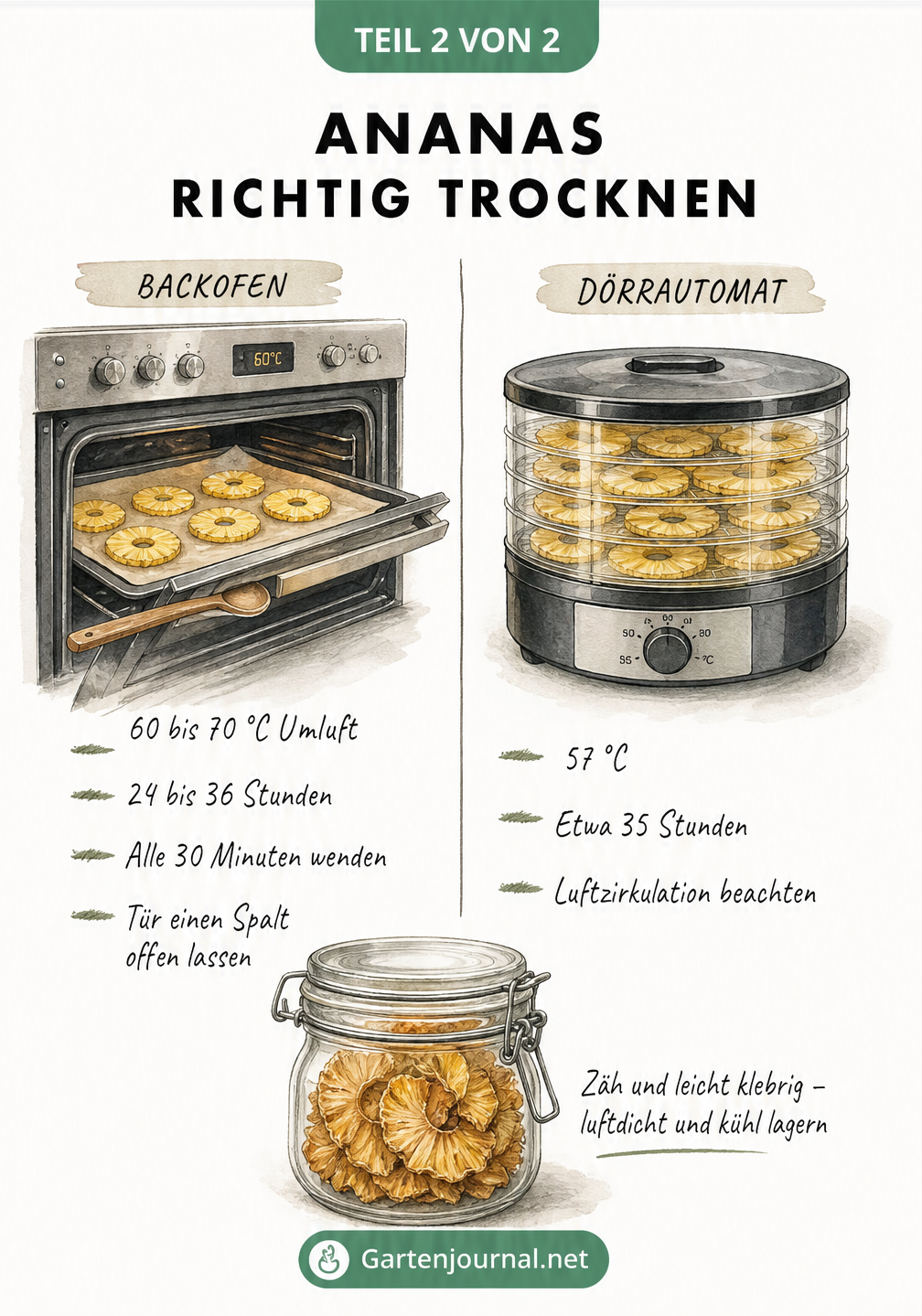 Illustration eines Backofens und eines Dörrautomaten mit Temperatur- und Zeitangaben zum Trocknen von Ananas
