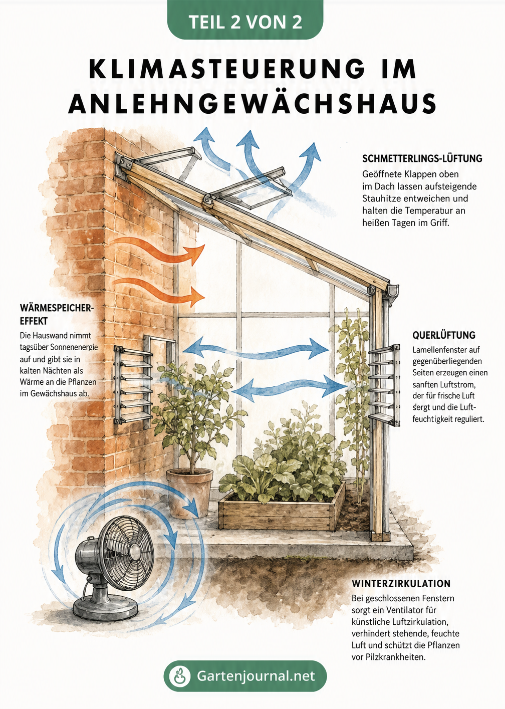 Querschnitt eines Anlehngewächshauses, der die Luft- und Wärmezirkulation durch Mauerwerk, Dachklappen und Lamellenfenster zeigt