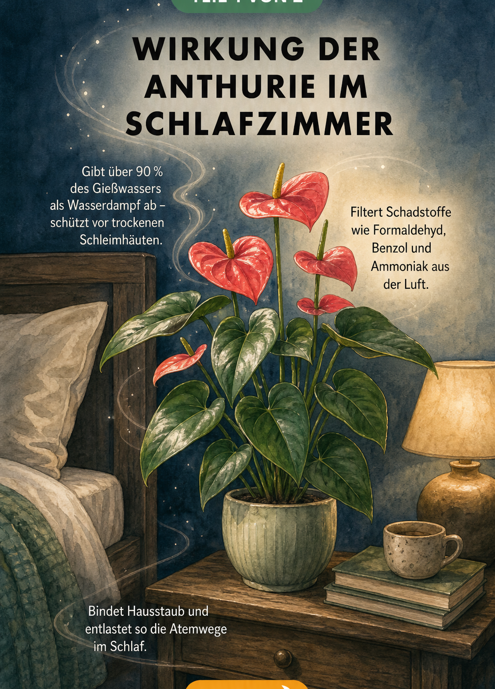Illustration einer Anthurie auf einem Nachttisch im Schlafzimmer, die ihre luftreinigende Wirkung und Erhöhung der Luftfeuchtigkeit zeigt.