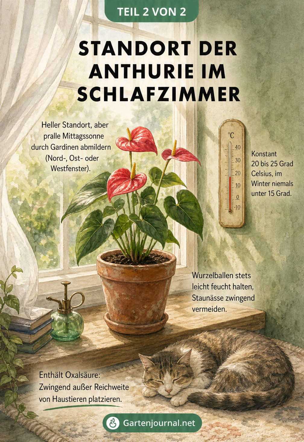 Botanische Skizze einer Anthurie auf einem Fensterbrett, die den idealen Standort und die Pflegebedingungen im Schlafzimmer illustriert.