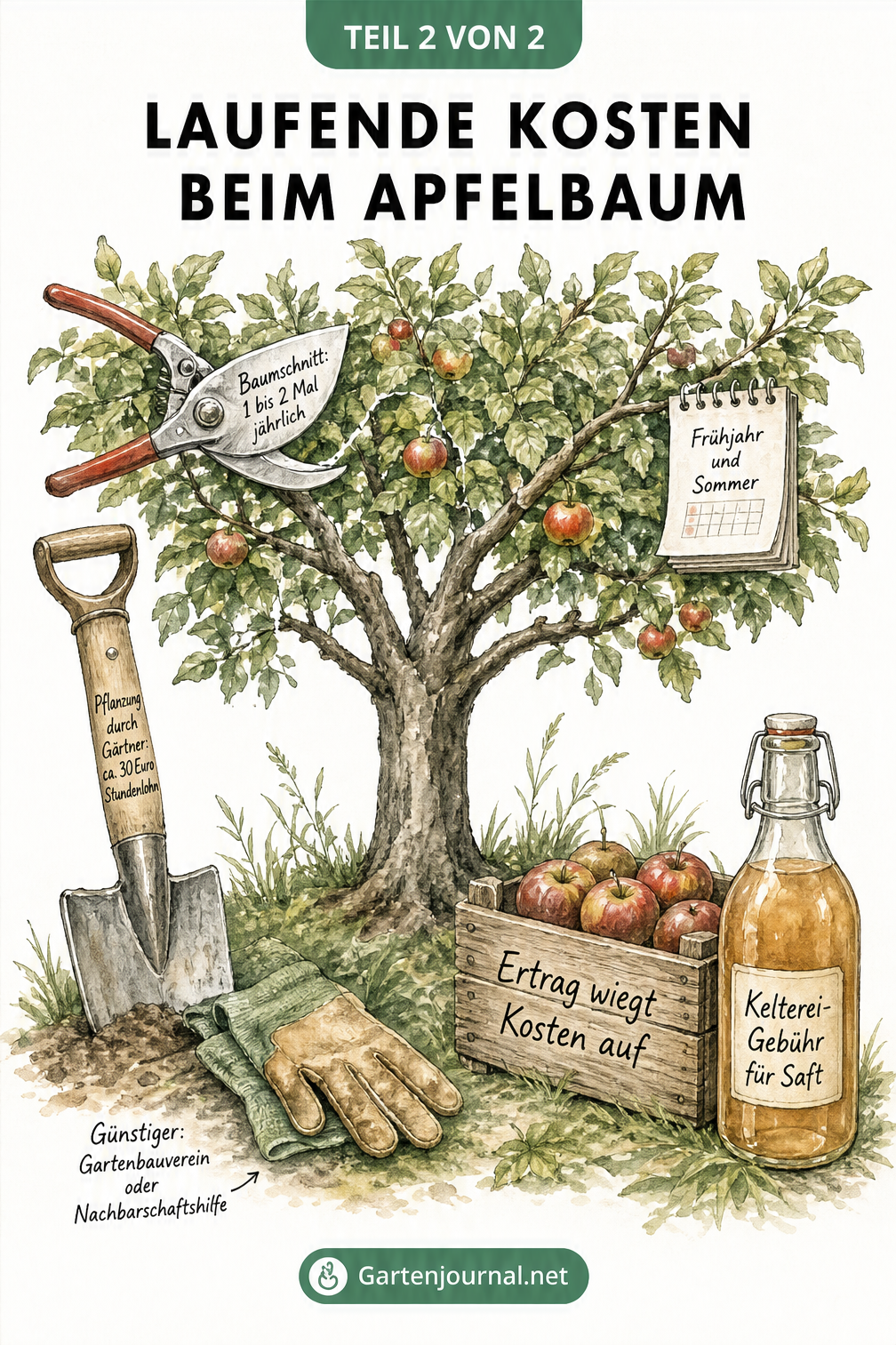 Botanische Zeichnung eines Apfelbaums mit Gartenwerkzeugen, die Pflegekosten symbolisieren