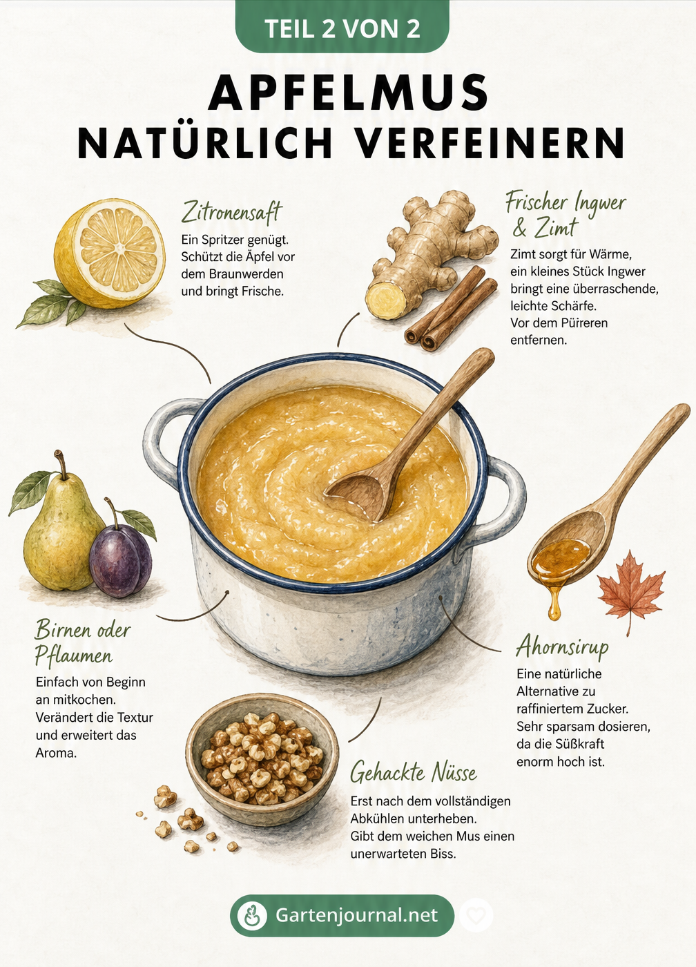 Illustration eines Emaille-Topfes mit Apfelmus, umgeben von Zutaten wie Zitrone, Zimt, Ingwer und Nüssen