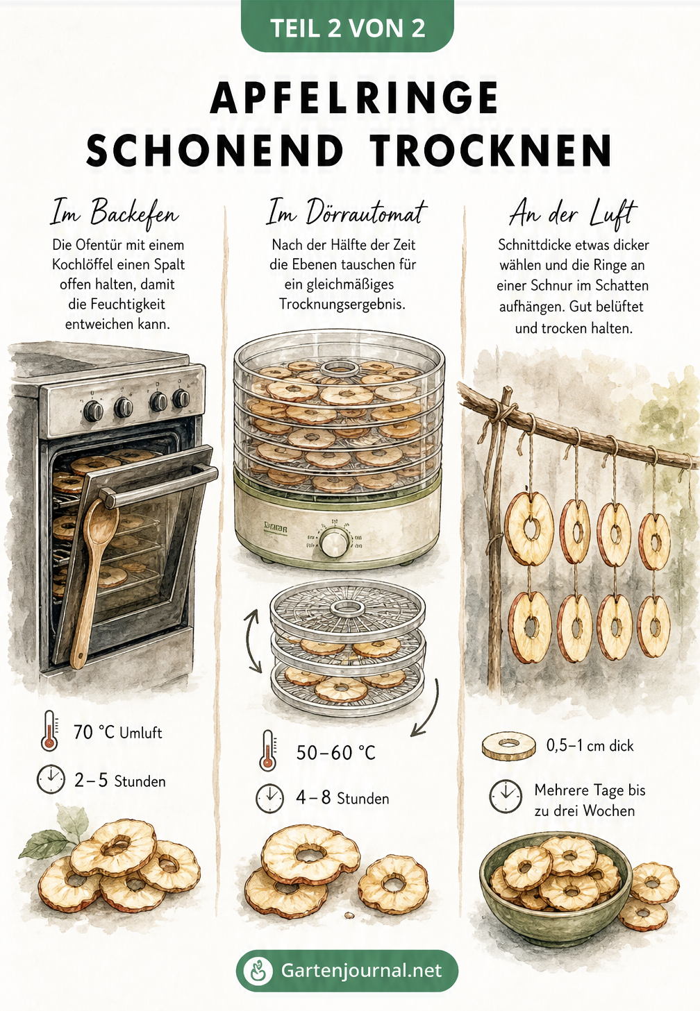 Illustration von drei Trocknungsmethoden für Apfelringe: Backofen, Dörrautomat und Lufttrocknung mit Temperatur- und Zeitangaben