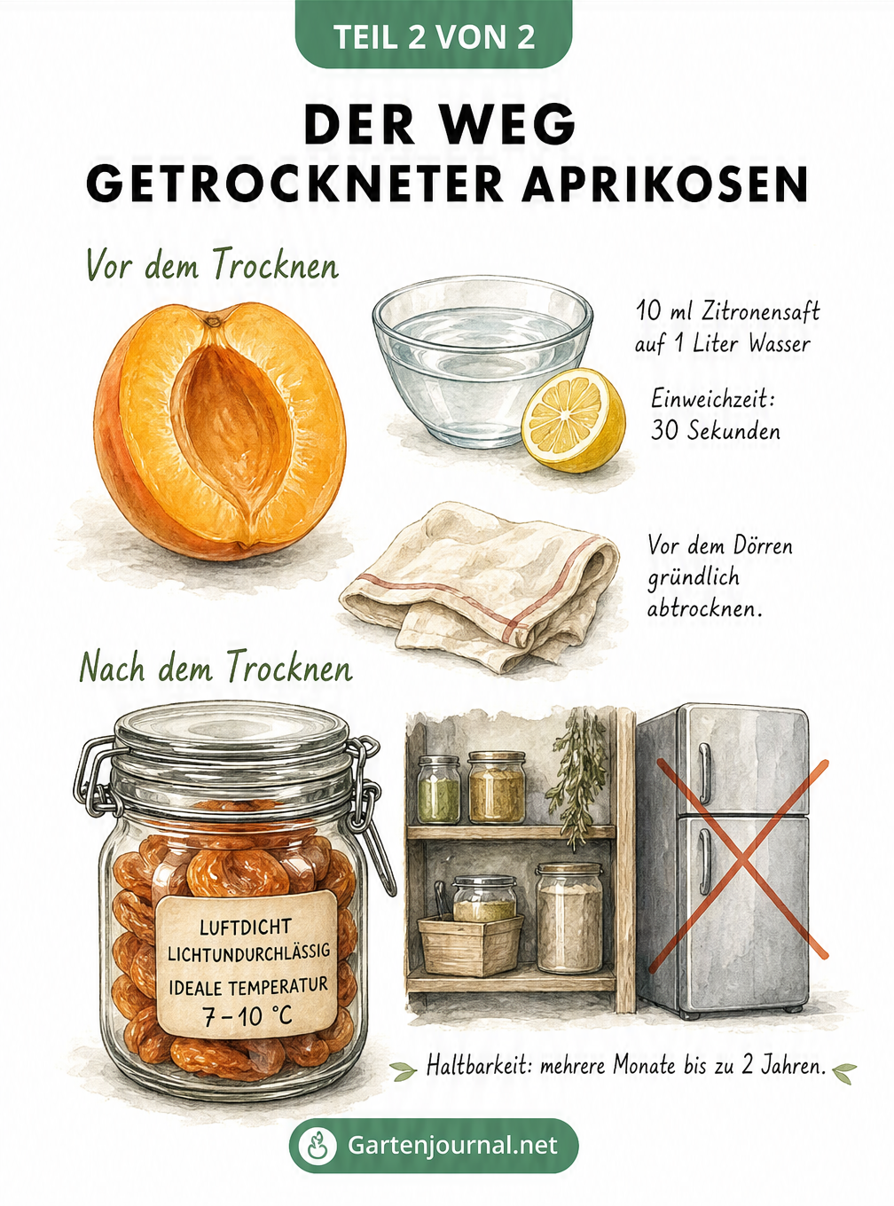 Vorbereitung und Lagerung von getrockneten Aprikosen mit Zitronenwasser und Vorratsglas