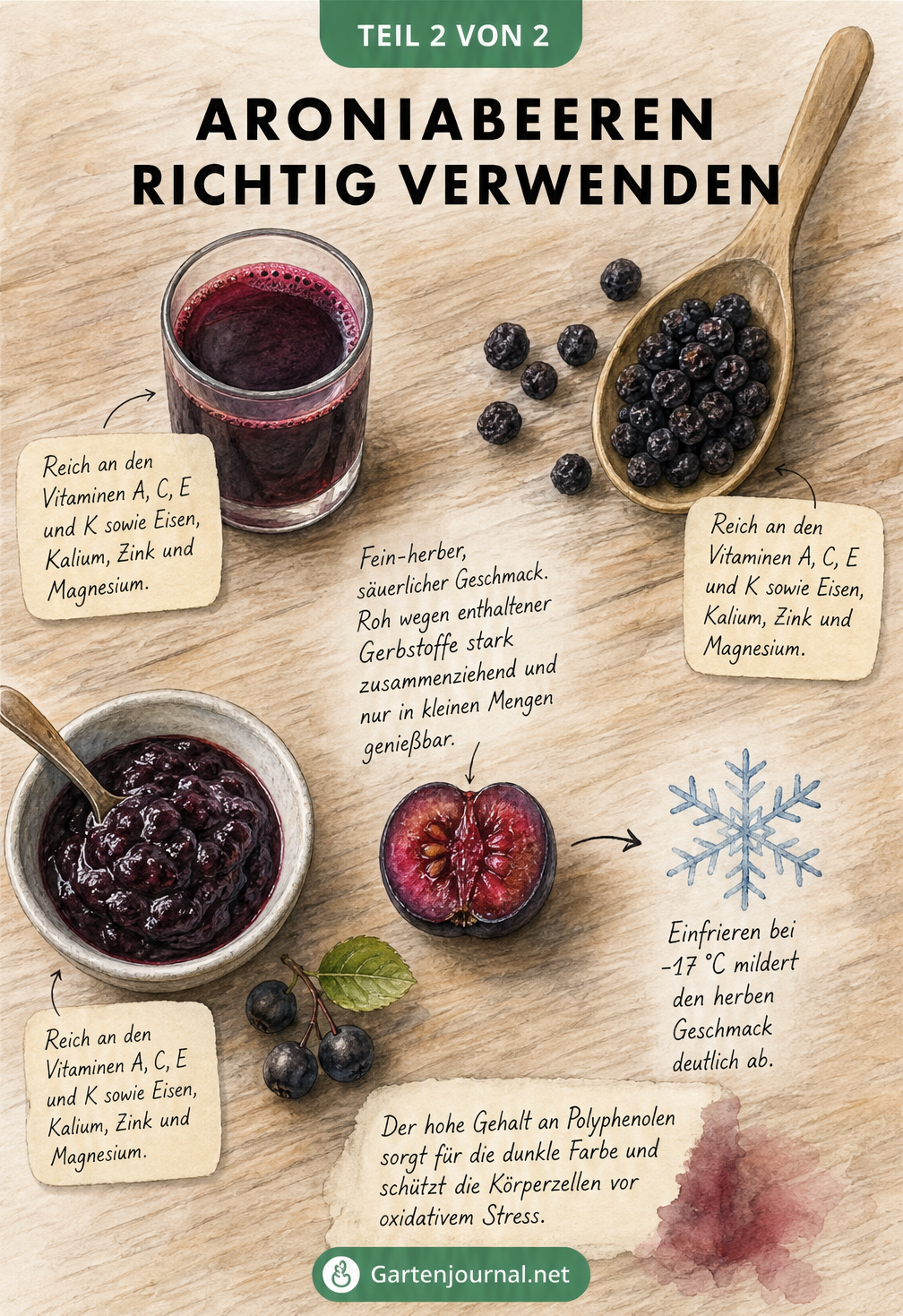 Illustration eines Holztisches mit einer aufgeschnittenen Aroniabeere, einem Glas Saft, getrockneten Beeren und Marmelade.