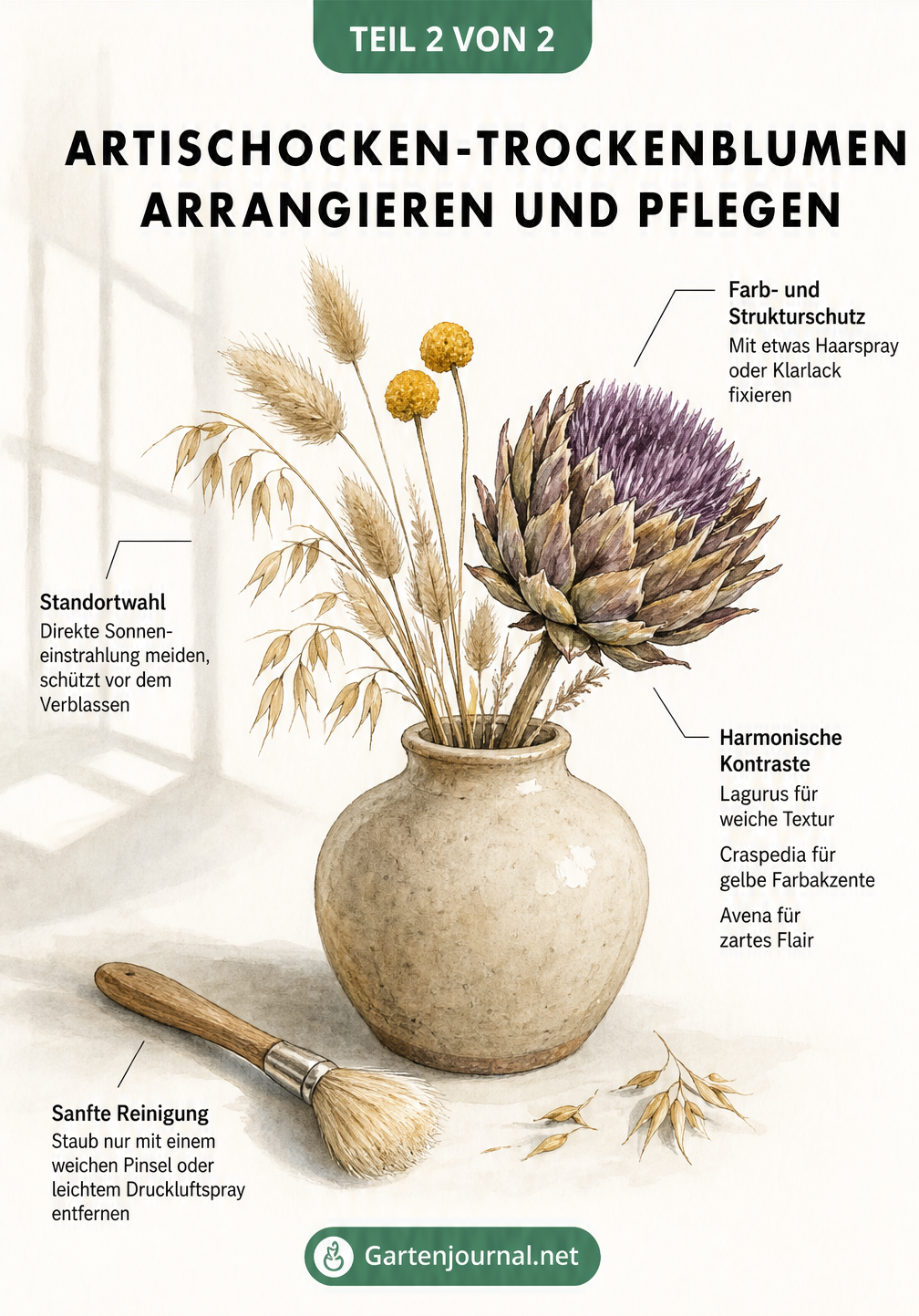 Aquarell-Illustration einer Keramikvase mit einer getrockneten Artischockenblüte, Lagurus, Craspedia und Avena sowie Pflegetipps.