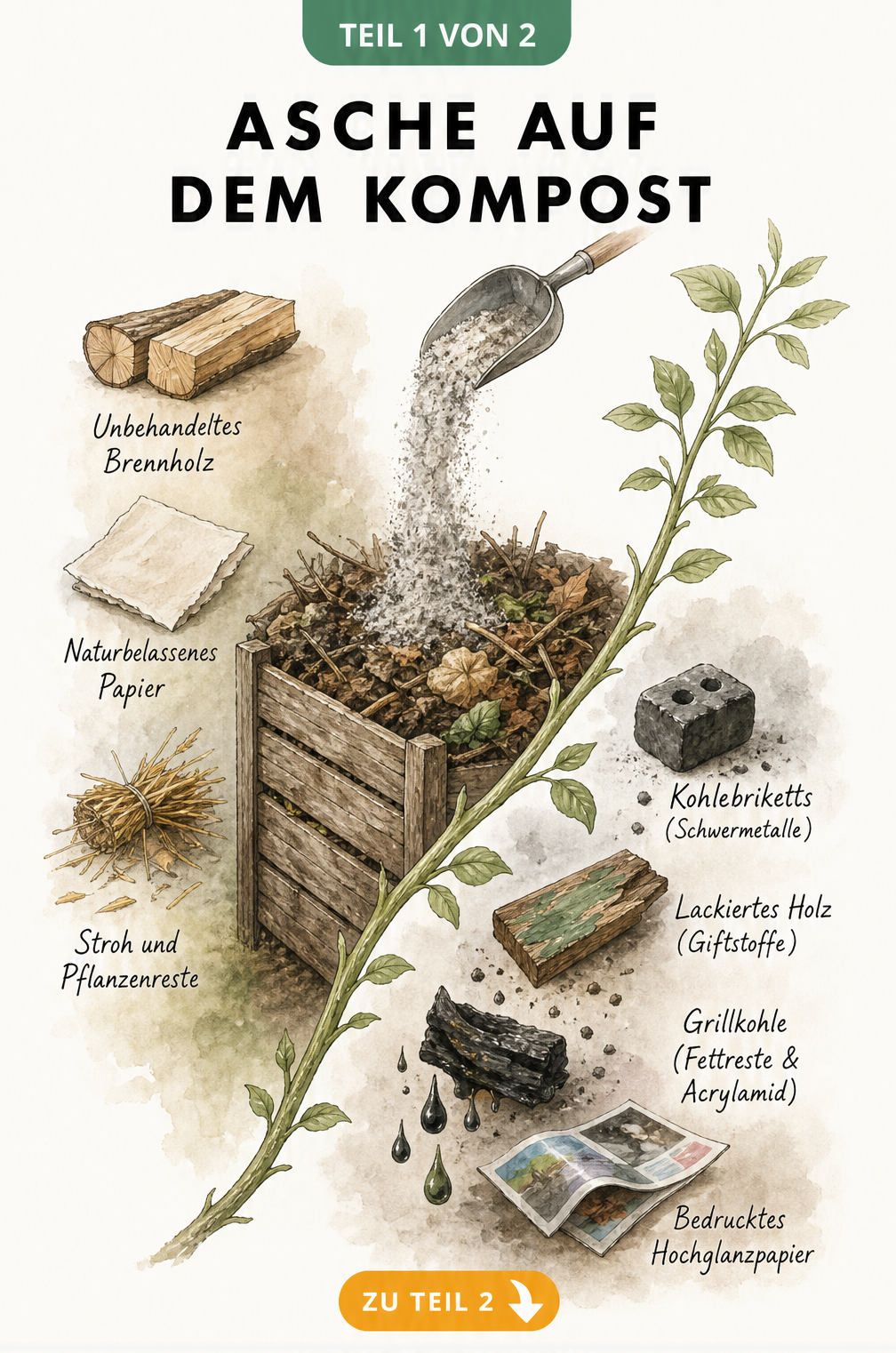 Illustration eines Kompostbehälters, der zeigt, welche Aschearten wie unbehandeltes Holz und Stroh kompostiert werden dürfen und welche nicht.