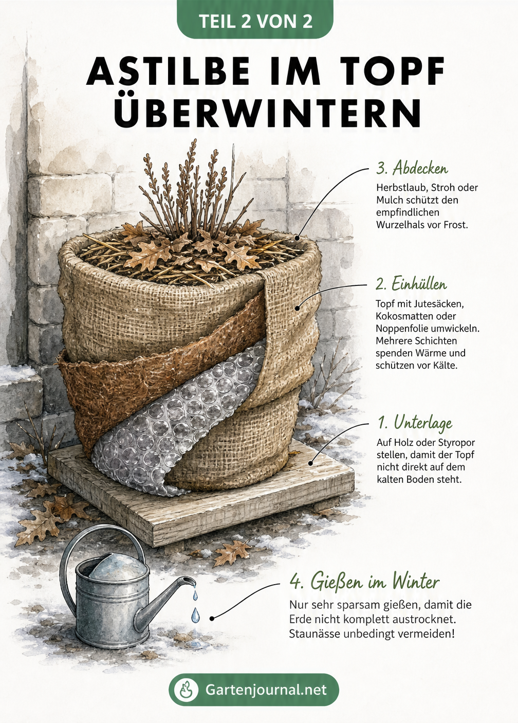 Illustration einer winterfest verpackten Astilbe im Topf mit Jutesack, Laubschicht und isolierender Unterlage.