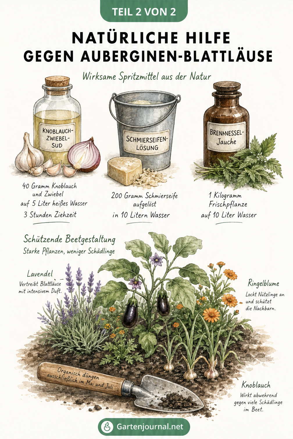 Illustration von Hausmitteln wie Knoblauchsud, Schmierseife und Brennnesselbrühe sowie einem Beet mit Auberginen und Begleitpflanzen.