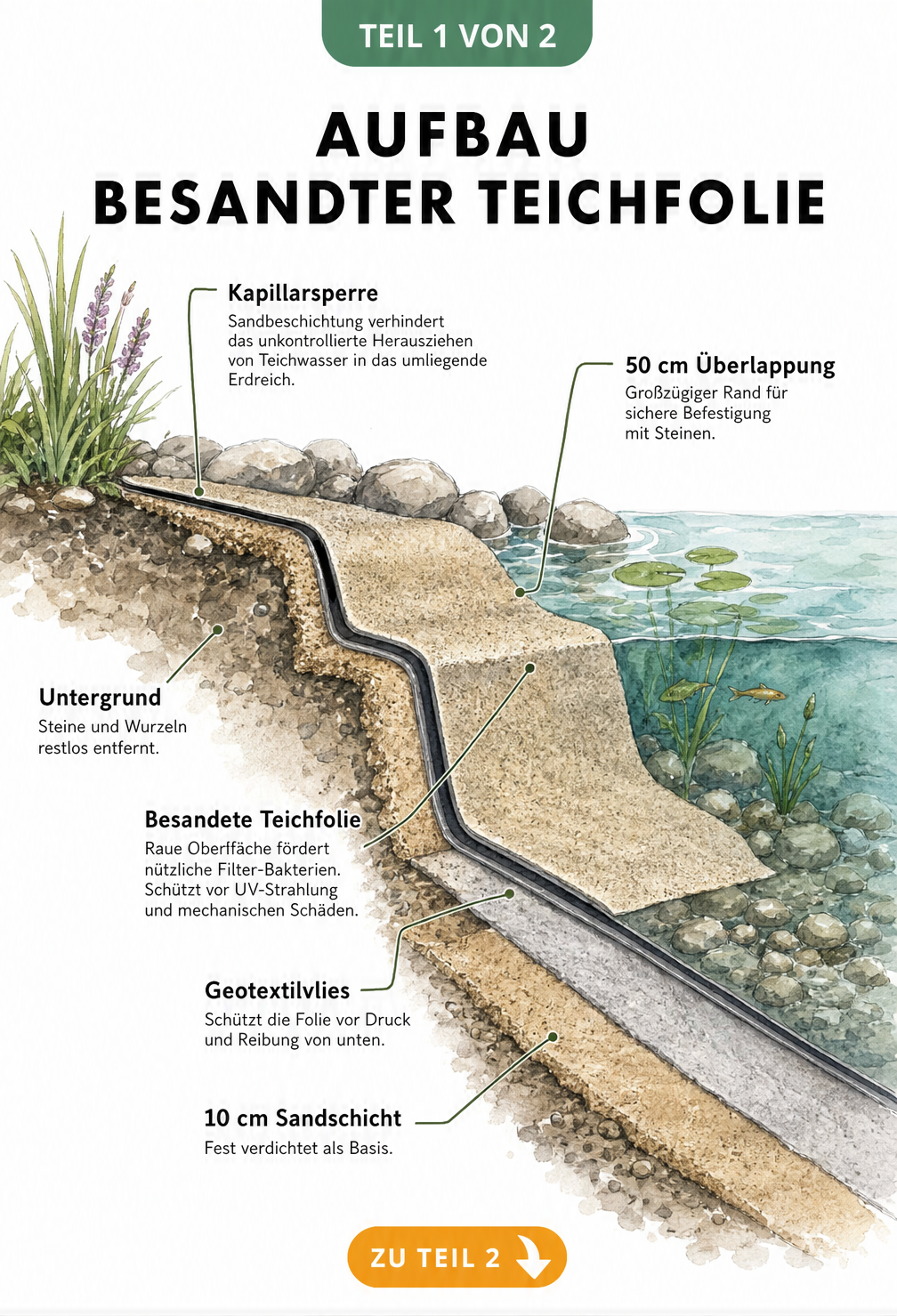 Schnittzeichnung des Aufbaus einer besandeten Teichfolie mit Untergrund, Sandschicht, Geotextilvlies und Kapillarsperre