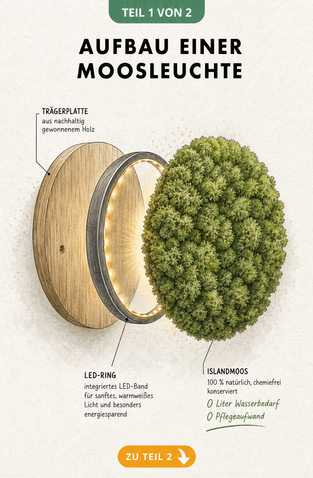 Explosionsskizze einer runden Wand-Moosleuchte mit Holzträgerplatte, LED-Ring und Islandmoos-Polster