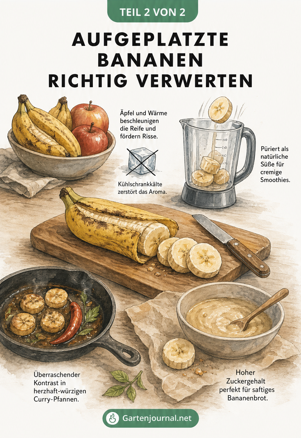 Illustration einer Küchenszene mit Bananenscheiben, die für Smoothies, Bananenbrot und Curry-Pfannen verwendet werden