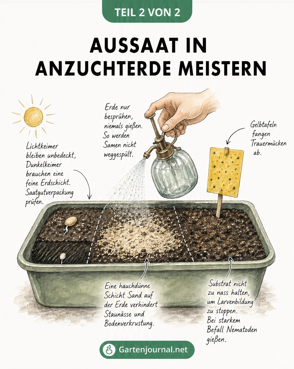 Zeichnung einer Anzuchtschale, die Lichtkeimer, Dunkelkeimer, Bewässerung und Schädlingsabwehr bei der Aussaat erklärt