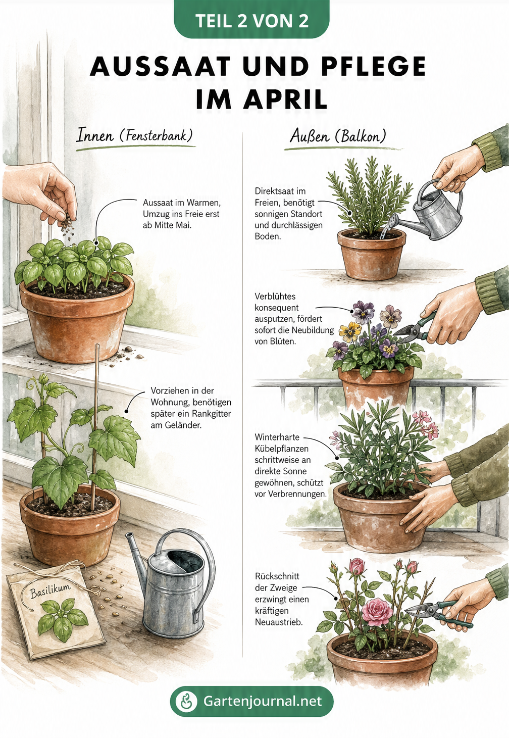 Illustration zur Aussaat und Pflege von Balkonpflanzen im April, mit Tipps zum Vorziehen auf der Fensterbank und Rückschnitt