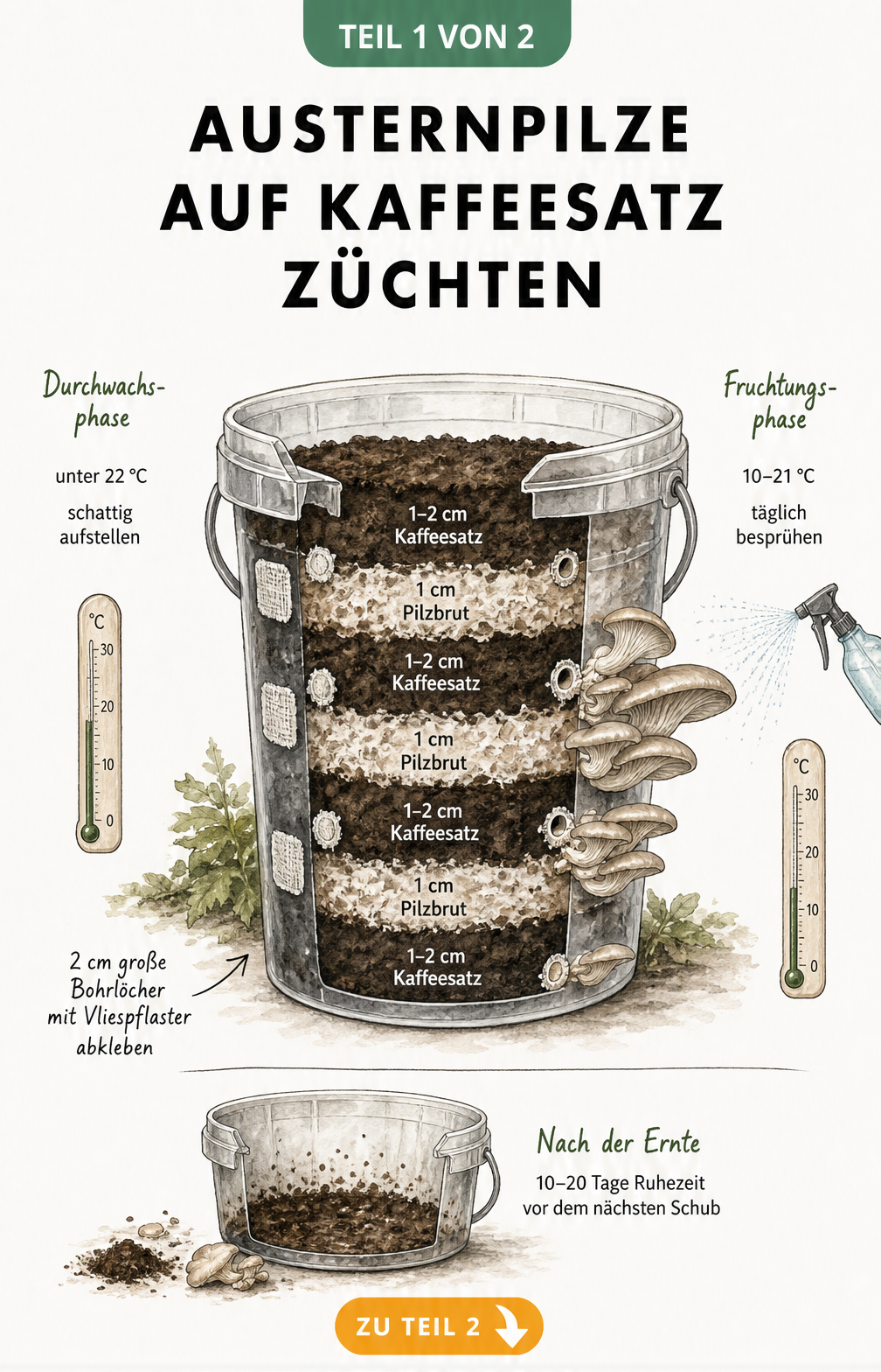 Querschnitt eines Eimers zeigt die abwechselnden Schichten aus Kaffeesatz und Pilzbrut zur Zucht von Austernpilzen.