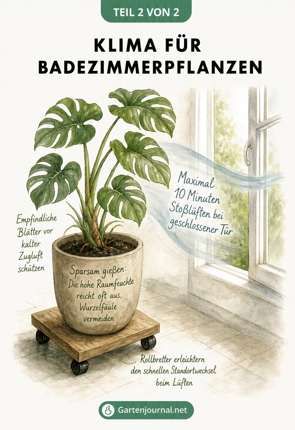 Illustration einer Topfpflanze am offenen Fenster mit Tipps zum Lüften und Gießen im Badezimmer